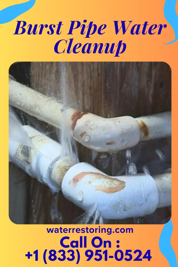 Burst Pipe Water Cleanup in Annawan, IL
